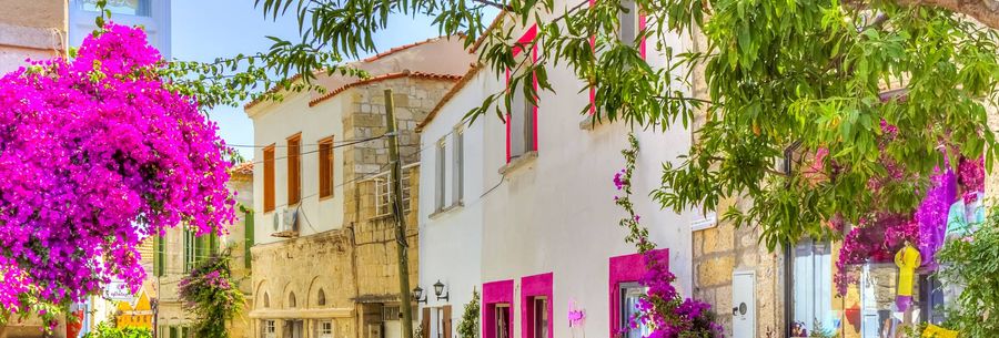Turkaegean Flavors: Gastro Cities Unveiled