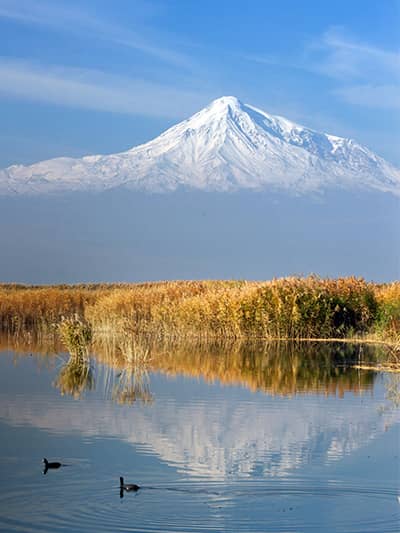 Ağrı