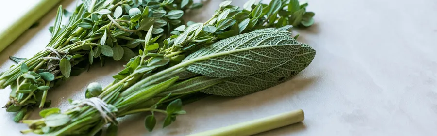 Aegean Herbs in Turkish Cuisine