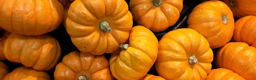 Traditional Turkish Pumpkin Recipes For The Fall Season!