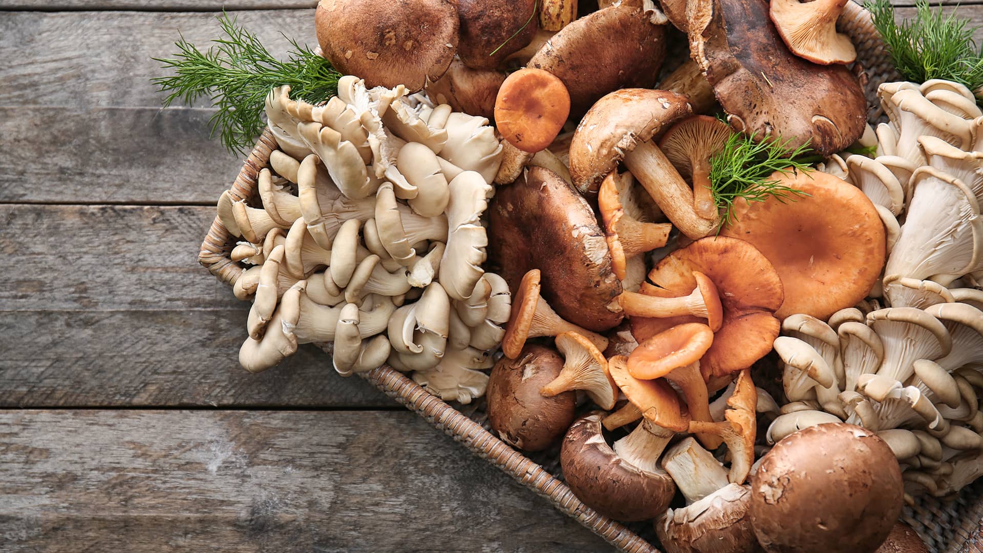 Mushroom Hunting Hero