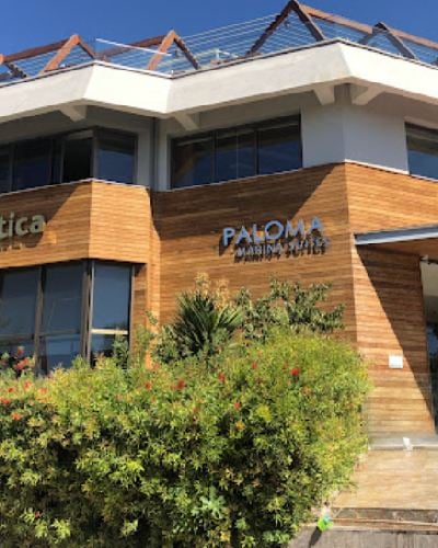 Paloma Marina Suits