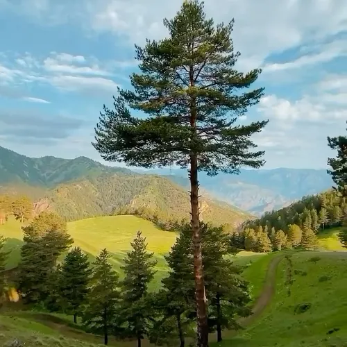 Instagram Post