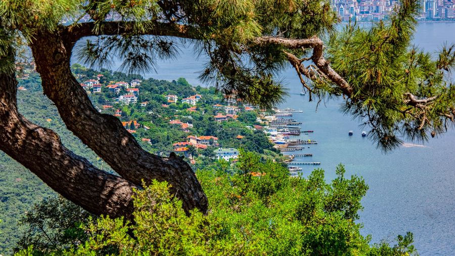 Adalar
