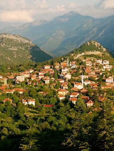 Ormana