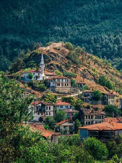 Taraklı